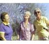 Abair-Howley-Quinn