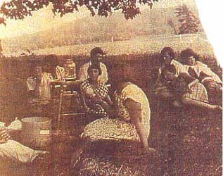 pic18.jpg (18391 bytes)